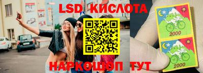 стаф Можга