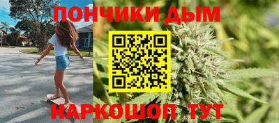 стаф Можга
