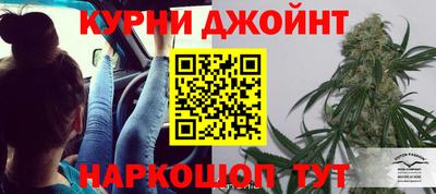 стаф Можга