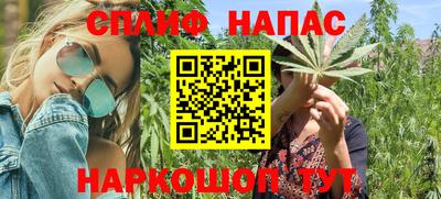 стаф Можга