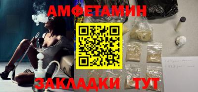 стаф Можга