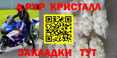 стаф Можга